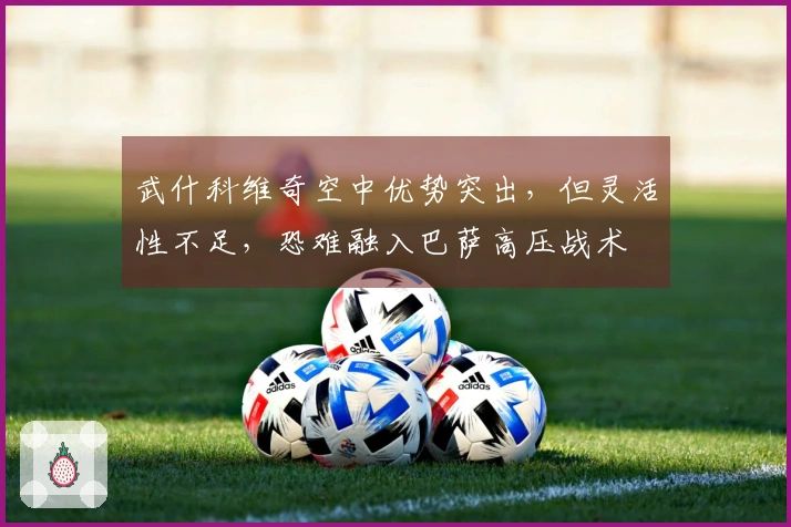 武什科维奇空中优势突出，但灵活性不足，恐难融入巴萨高压战术