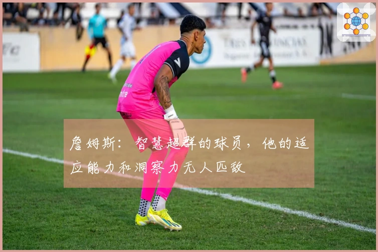 詹姆斯：智慧超群的球员，他的适应能力和洞察力无人匹敌