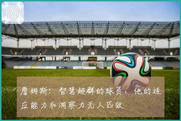 詹姆斯:智慧超群的球员,他的适应能力和洞察力无人匹敌